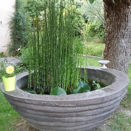 A Clair Matin Homestay Estang