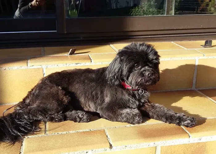 Séjour chez l'habitant A Clair Matin Estang